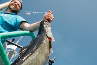 Lofoten Fishing Boat Cruise