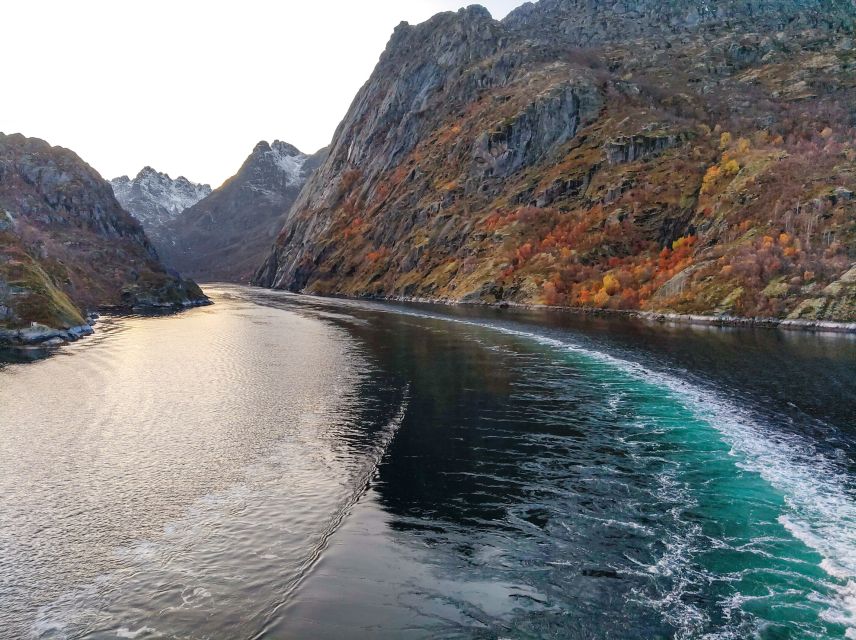 From Svolvær: Lofoten Islands Silent Trollfjord Cruise - Key points to know before you book