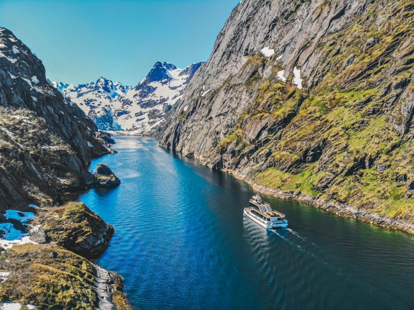 From Svolvær: Lofoten Islands Silent Trollfjord Cruise - Why the quiet boat changes the Trollfjord experience