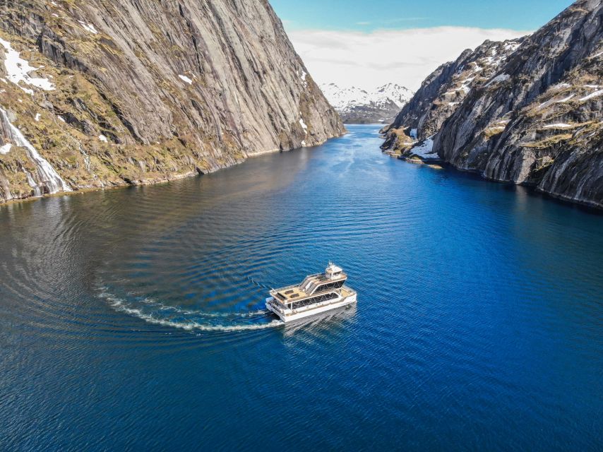From Svolvær: Lofoten Islands Silent Trollfjord Cruise - Oddvaer and Reknesbukta: wildlife begins to matter