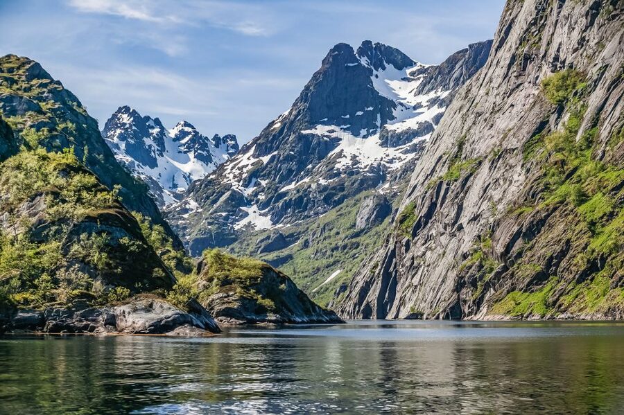 From Svolvær: Lofoten Islands Silent Trollfjord Cruise - The underwater drone and the world below the boat