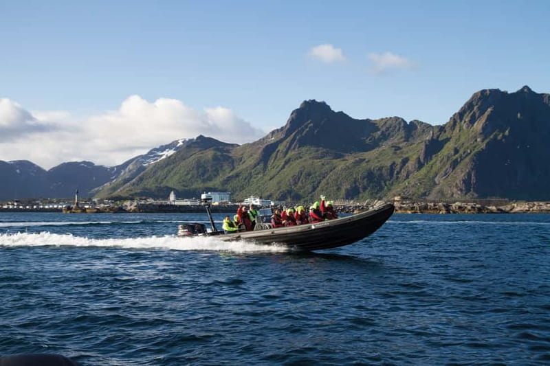 From Svolvær: Lofoten RIB Sea Eagle Safari Trollfjord Cruise - Key points to know before you book