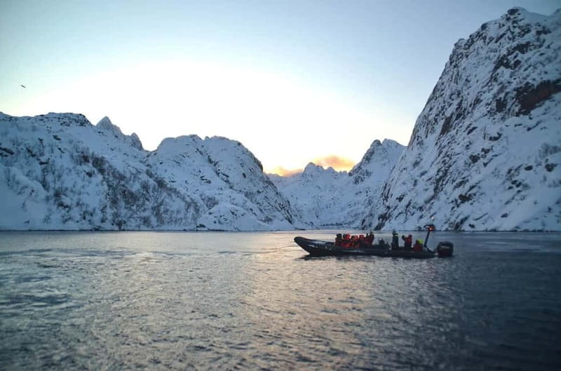 From Svolvær: Lofoten RIB Sea Eagle Safari Trollfjord Cruise - Is two hours enough?