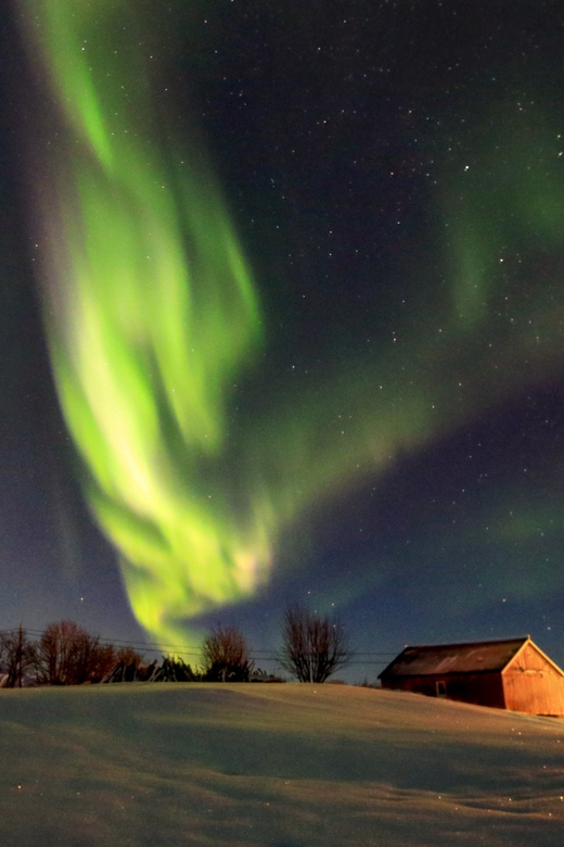 From Svolvaer: Private Northern Lights Search Trip - What happens during the four-hour evening