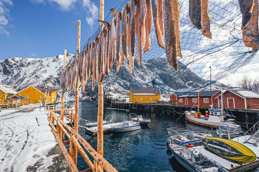 From Svolvær: Reine & Å Lofoten West Island Full Day Tour - Reine: fishing village beneath granite peaks