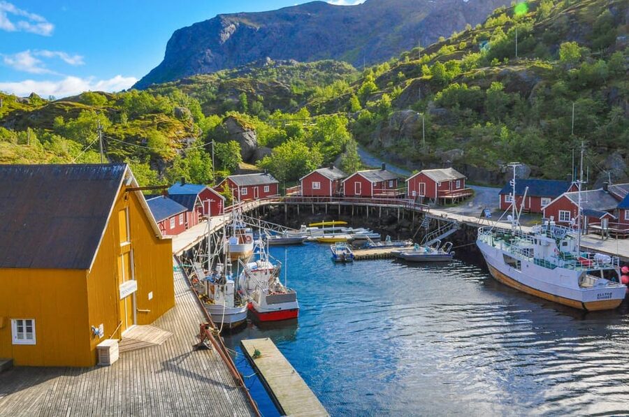 From Svolvær: Reine & Å Lofoten West Island Full Day Tour - What $294 buys you
