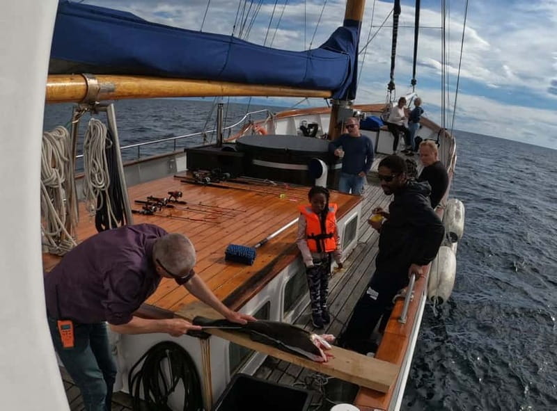 From Svolvær: Taste of Lofoten - Cultural Fishing Experience - Fjord scenery, wildlife, and the value of slowing down