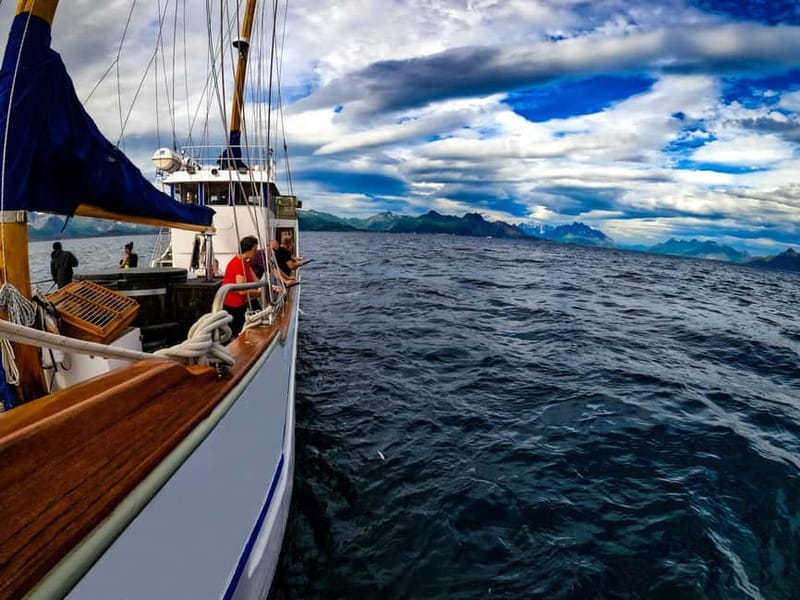 From Svolvær: Taste of Lofoten - Cultural Fishing Experience - Fishing traditional Arctic methods on Vestfjorden
