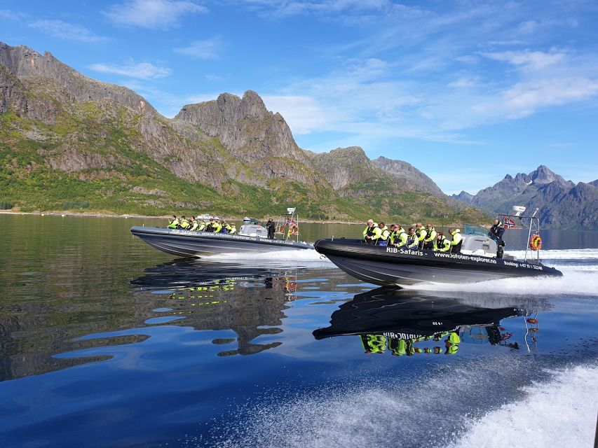 From Svolvaer: Trollfjorden Wildlife RIB Cruise - Entering the narrow walls of Trollfjorden