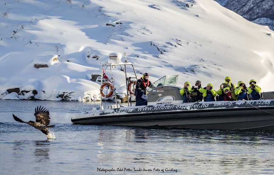 From Svolvaer: Trollfjorden Wildlife RIB Cruise - FAQ