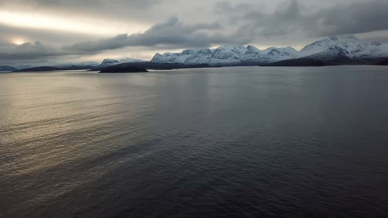 From Tromsø: All-Inclusive Whale & Orca Safari - Weather, cancellations, and wildlife luck