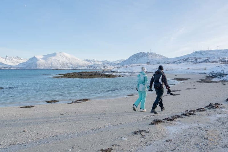 From Tromsø: Arctic Roadtrip: fjords tour with scenic picnic - Sommarøy’s beaches, fjords, and fishing villages