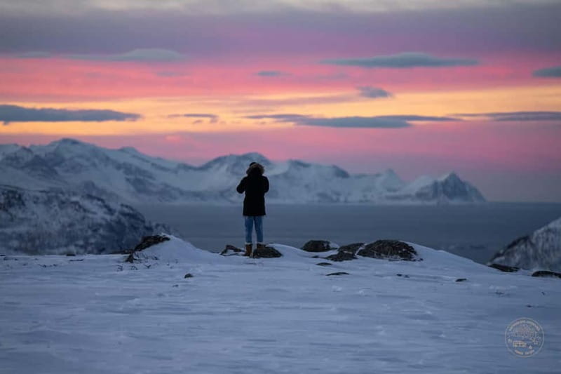 From Tromsø: Arctic Roadtrip: fjords tour with scenic picnic - A warm picnic beside the water