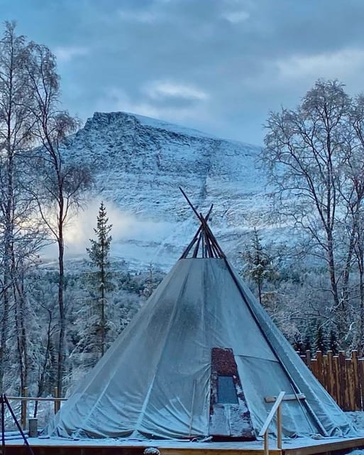 From Tromso: Arctic Wilderness Snowmobile Daytime Tour - Key points to know before booking