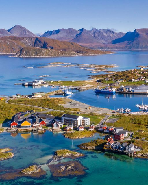 From Tromsø: Arctic Wildlife & Fjord Sightseeing Tour by Car - The value of a $220 small-group day