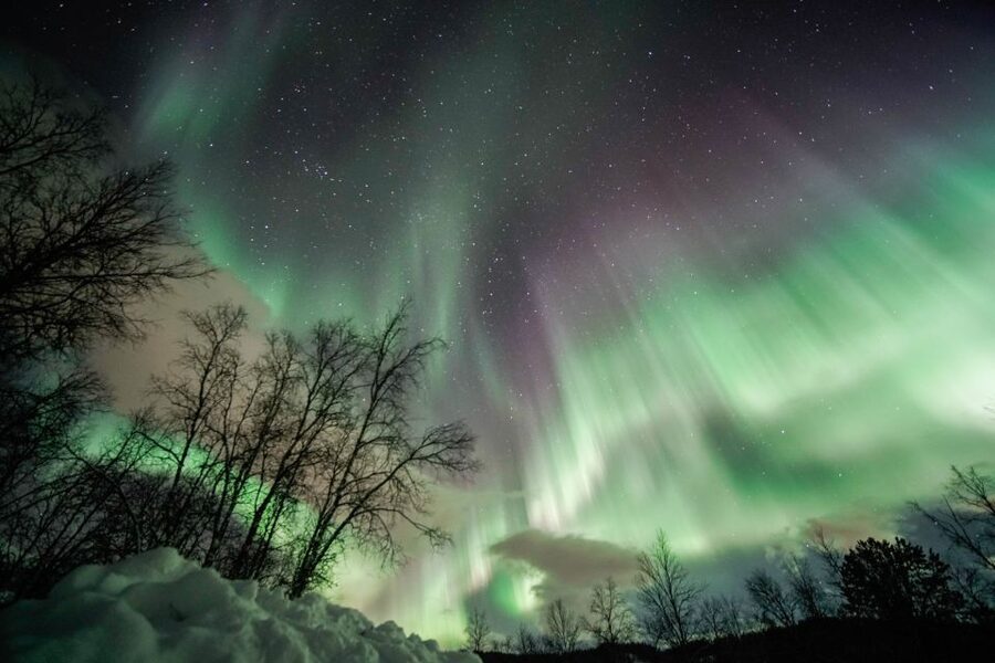 From Tromsø: Aurora Borealis Tour - Hot chocolate, cookies, and the small comforts