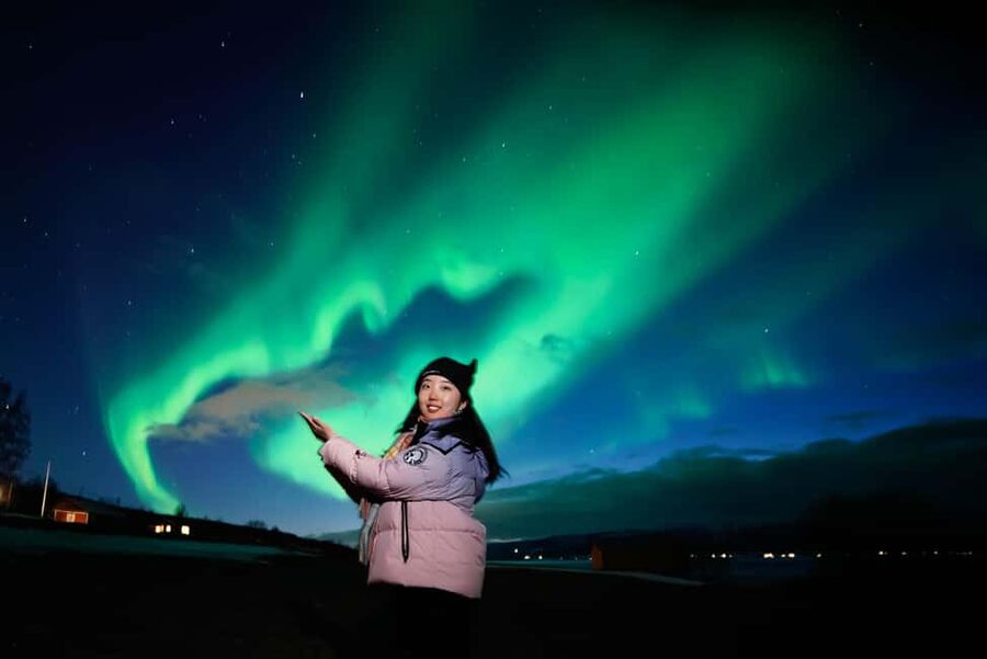From Tromsø: Aurora Borealis Tour - Price and value at $181