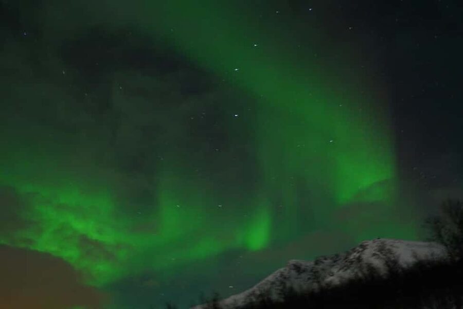 From Tromsø: Aurora Bus Tour with Snacks, Photos, and Drinks - Key points to know before booking