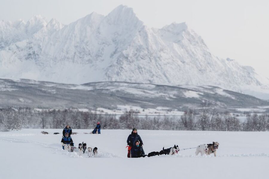 From Tromsø: Fun and Easy Dog Sledding Adventure - Open snow, forest trails, and the Lyngen Alps
