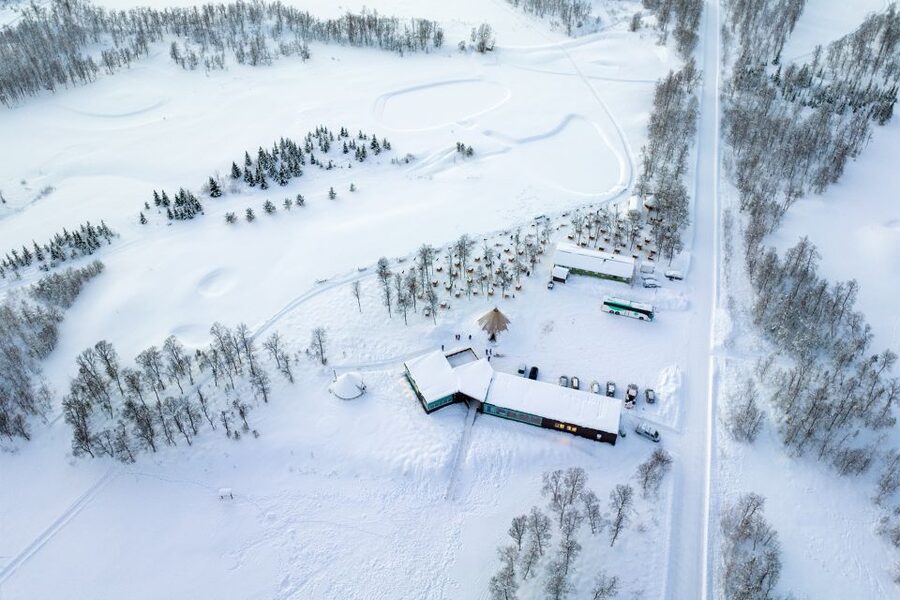 From Tromsø: Fun and Easy Dog Sledding Adventure - Tea, cake, and the lavvu welcome
