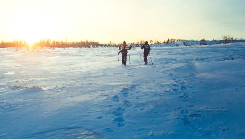 From Tromsø: Guided Husky Snowshoe Hike and Husky Camp Visit - Who will enjoy this outing most