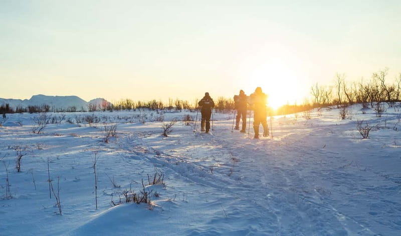 From Tromsø: Guided Husky Snowshoe Hike and Husky Camp Visit - Following the dogs into the Arctic scenery