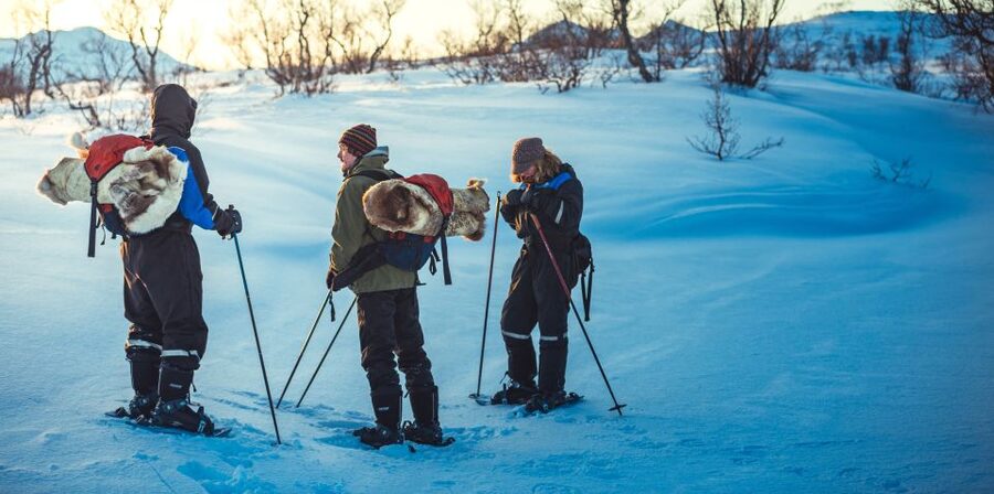 From Tromsø: Guided Husky Snowshoe Hike and Husky Camp Visit - Cake and hot drinks in the snow