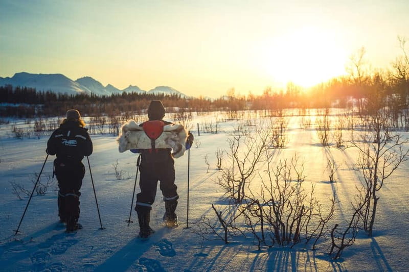 From Tromsø: Guided Husky Snowshoe Hike and Husky Camp Visit - From Tromsø to the camp on Kvaløya