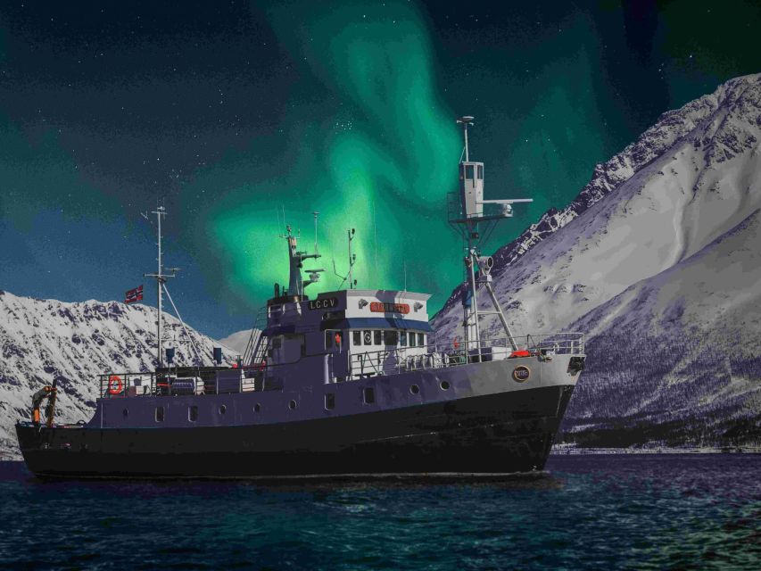 From Tromsø: Northern Lights Cruise on a Cozy Vintage Vessel - Key things to know before you book