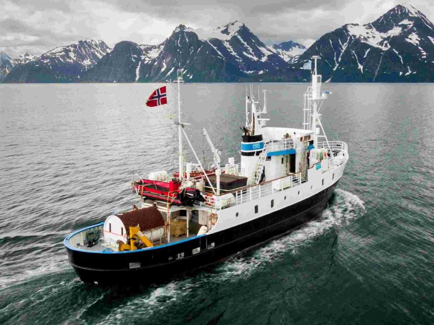 From Tromsø: Northern Lights Cruise on a Cozy Vintage Vessel - What the four-hour route feels like
