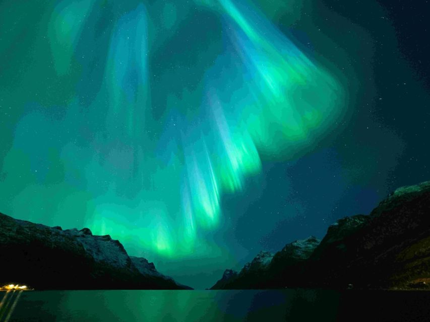 From Tromsø: Northern Lights Cruise on a Cozy Vintage Vessel - Who should book this Tromsø cruise?