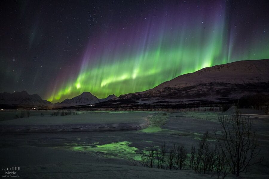 From Tromsø: Northern Lights Tour - Timing, comfort, and the real length of the night