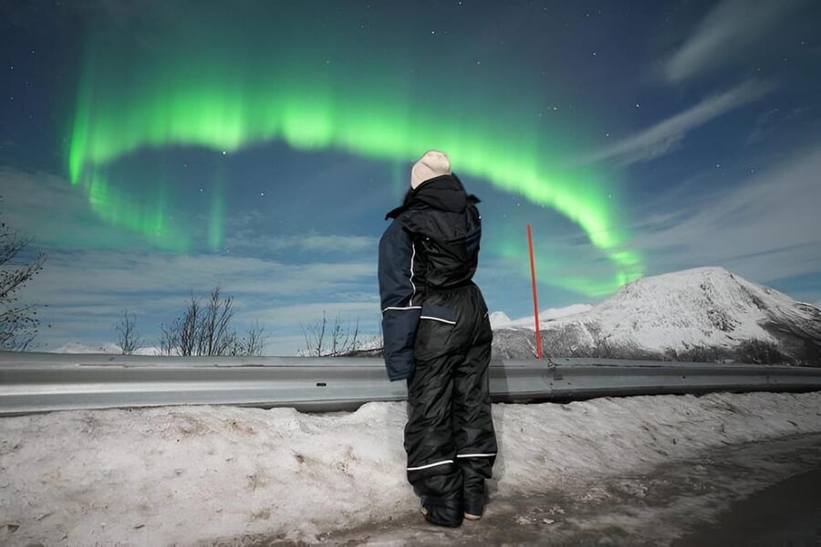 From Tromsø: Northern Lights Tour in Minibus with Photos - What the minibus ride is really like