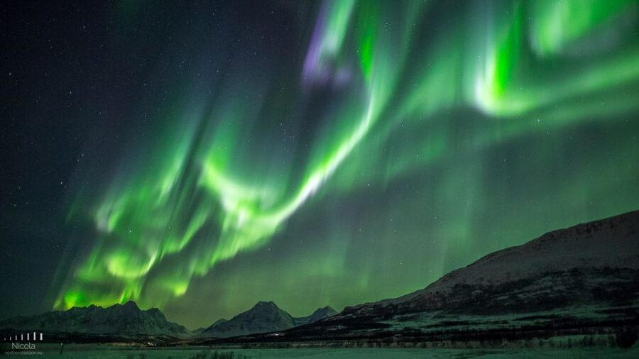 From Tromsø: Northern Lights Tour - Meeting at Magic Ice Bar and leaving Tromsø