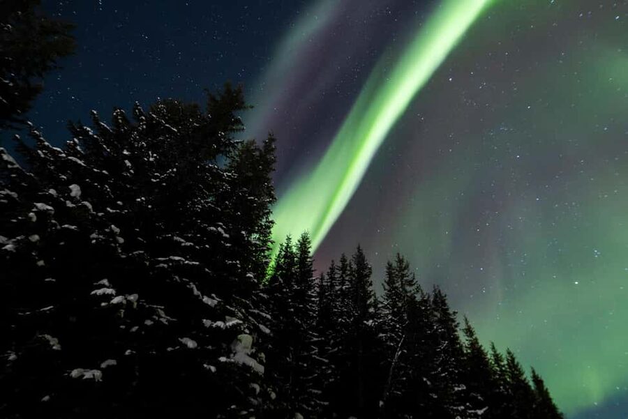 From Tromsø: Northern Lights Visit at Camp Tamok - FAQ