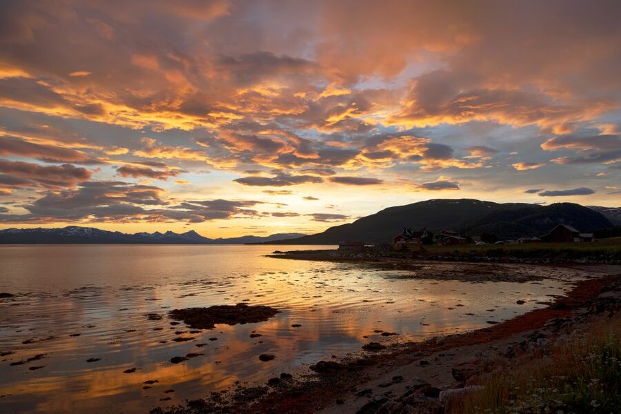 From Tromso: Norwegian Fjords Half-Day Tour - Why Kvaløya makes a fine half-day escape