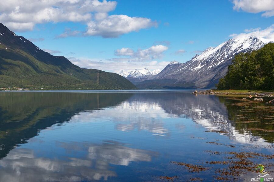 From Tromso: Norwegian Fjords Half-Day Tour - Scenic stops around Kvaløya