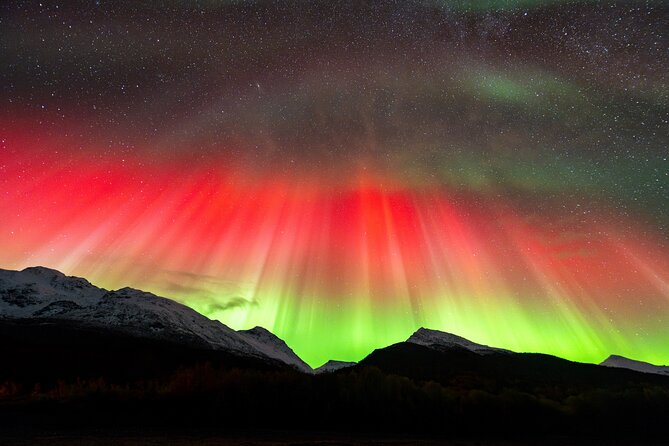 From Tromsø: OFFICIAL Northern Lights Safari by Minibus - Guides who add value beyond the drive