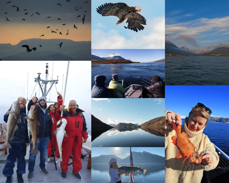 From Tromso: Polar Fishing Adventure - Why this short Tromsø fishing trip works