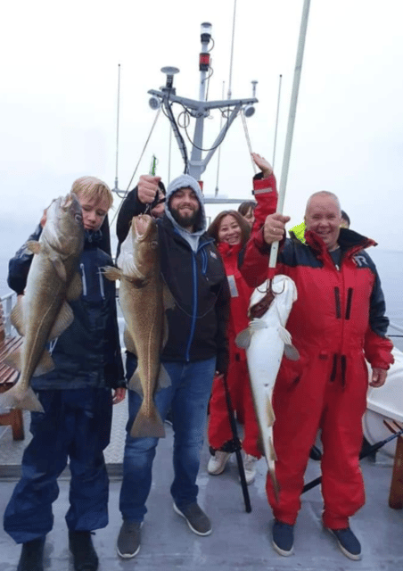 From Tromso: Polar Fishing Adventure - Hella, Kvaløya, and the first fishing stop