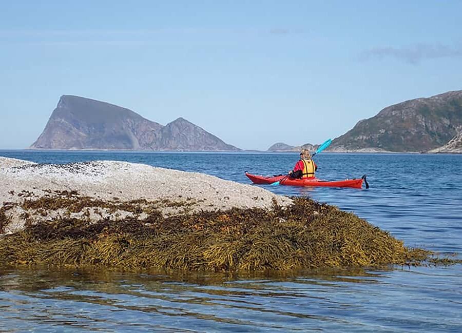 From Tromsø: Sea Kayaking Tour at Sommarøy with Transfer - Who will enjoy this tour most?