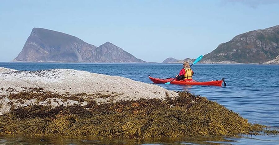 From Tromsø: Sea Kayaking Tour at Sommarøy with Transfer - Wildlife, local stories, and the view from sea level