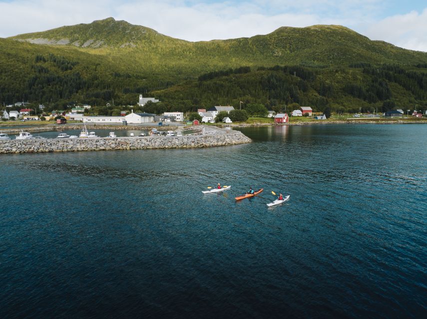 From Tromsø: Self-Guided Fjord Tour to Senja and Local Lunch - Arriving at Hamn i Senja around 14:15
