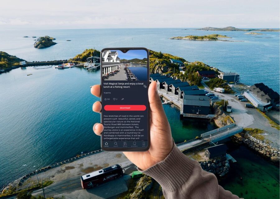 From Tromsø: Self-Guided Fjord Tour to Senja and Local Lunch - Practical details before you book