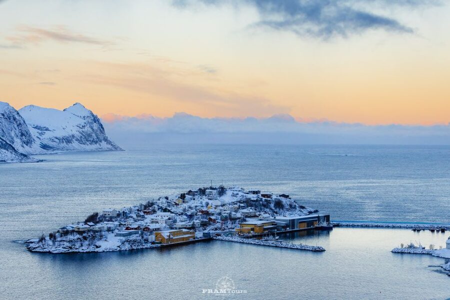 From Tromsø: Senja and Kvaløya Arctic Day Trip with Lunch - The 45-minute ferry to Senja