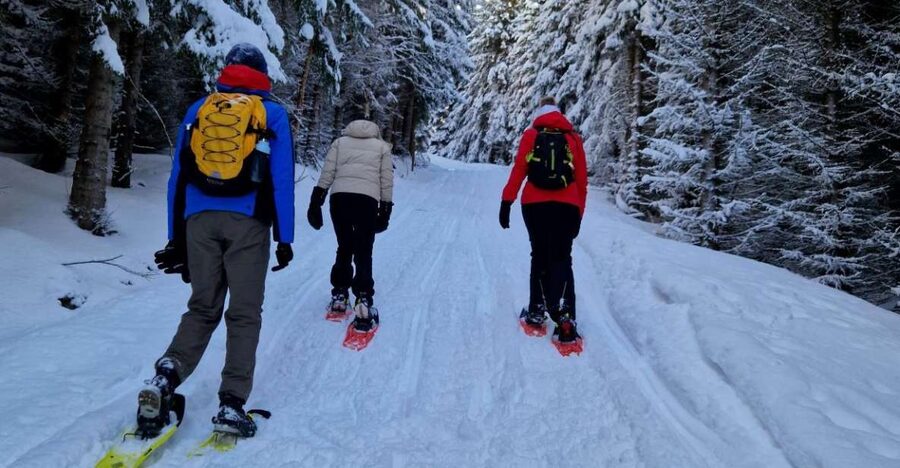 From Tromsø: Snowshoe Hike in the Arctic - Views over fjords, mountains, and snow