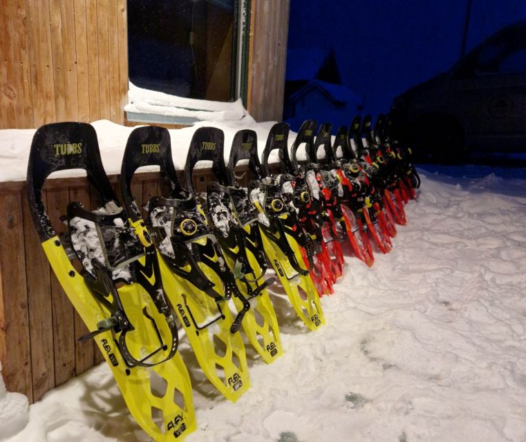 From Tromsø: Snowshoe Hike in the Arctic - Hot chocolate, chocolate, and a playful descent
