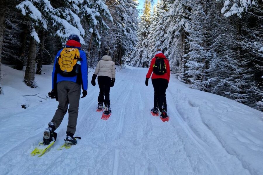 From Tromsø: Snowshoe Hike in the Arctic - Snowshoes, poles, and the first climb