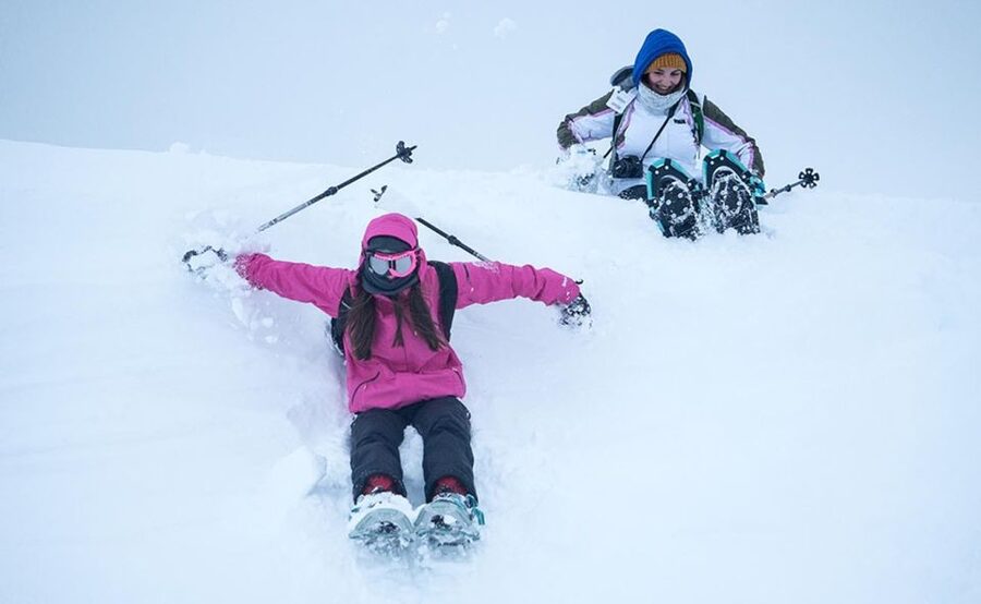 From Tromsø: Snowshoeing Hike with Picnic Lunch and Photos - Wildlife watching without false promises