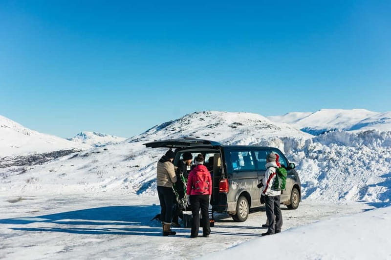 From Tromsø: Snowshoeing Hike with Picnic Lunch and Photos - A simple picnic with a proper Arctic view